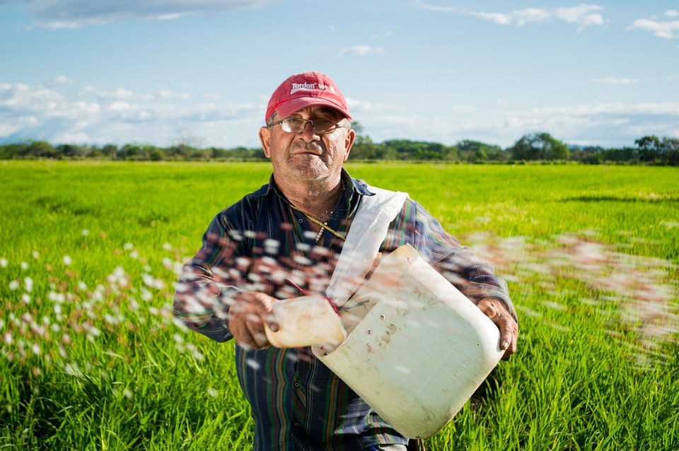 Stock Image - farmer-452904_960_720.jpg