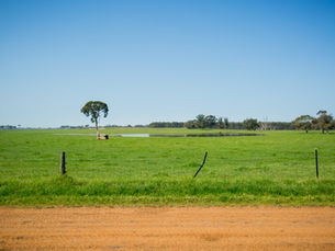 Income Averaging and Farm Management Deposits