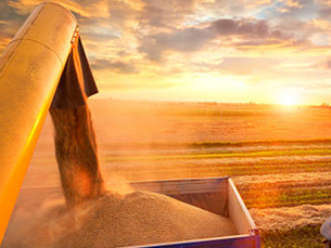 Grain Contracts, Deferred Payments and Cash Flow