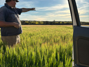 Cash Flow Timing on Farms: Seasonal Income vs Monthly Repayments